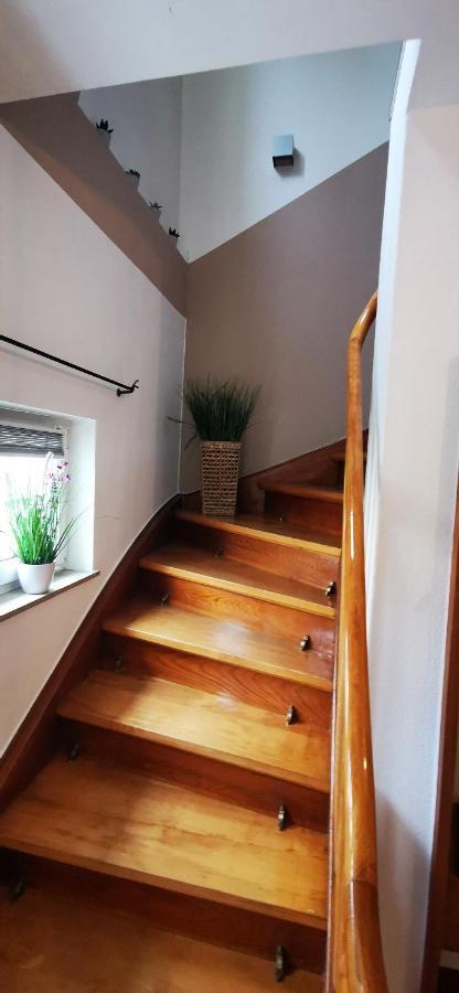 Ferienwohnung Palmenwald Freudenstadt Zewnętrze zdjęcie